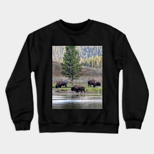 Three Buffalo grazing in Yellowstone Crewneck Sweatshirt